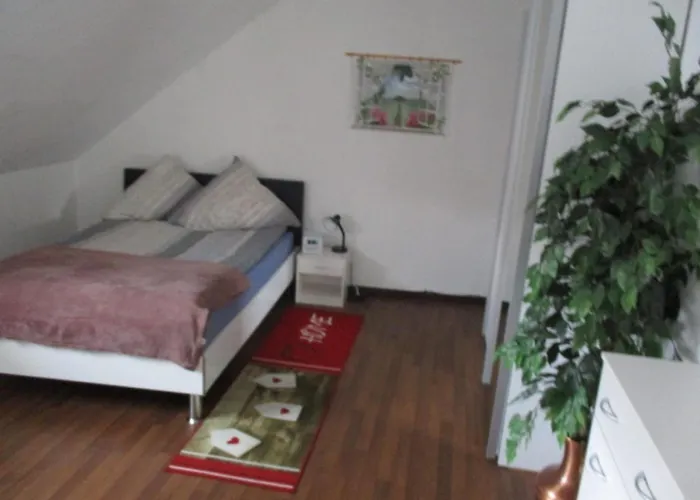 Ferienwohnung Thueringer Wald